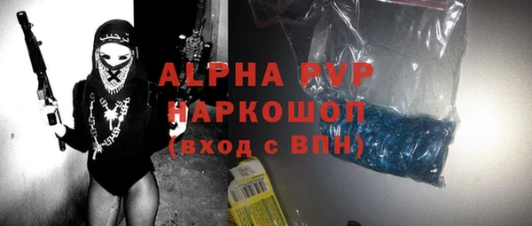 молекула духа Арсеньев