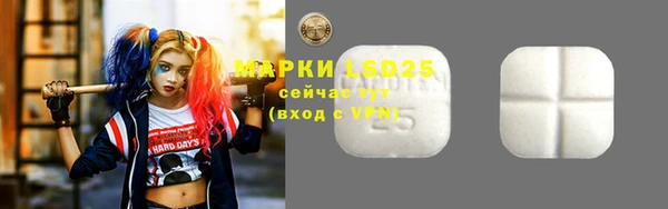 молекула духа Арсеньев