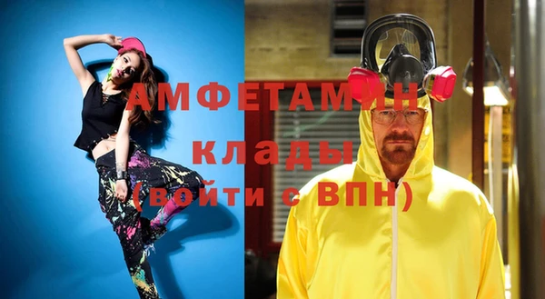 молекула духа Арсеньев