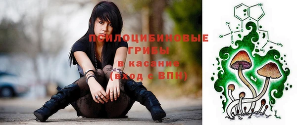 молекула духа Арсеньев