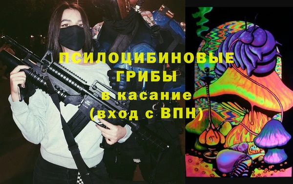 молекула духа Арсеньев